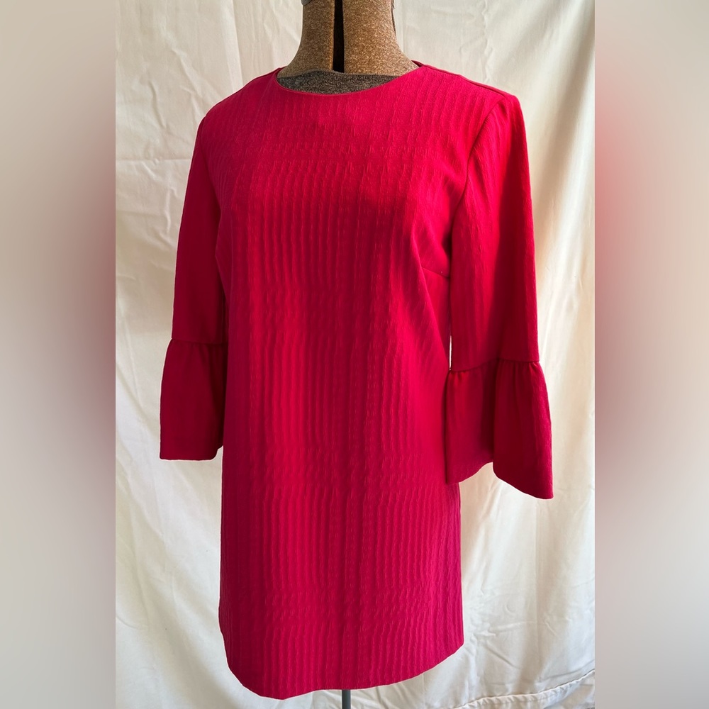 Zara Hot Pink Shift Dress